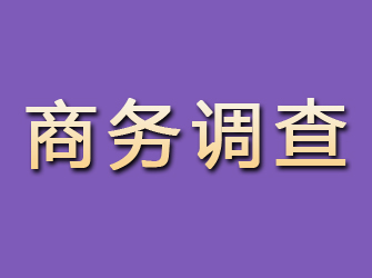 建水商务调查